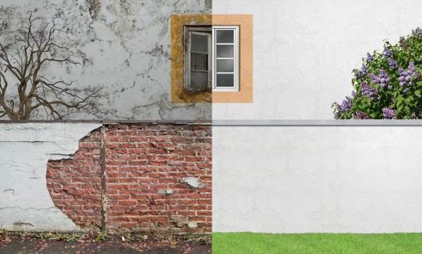 Trusted Inwood, WV Mold Removal Experts