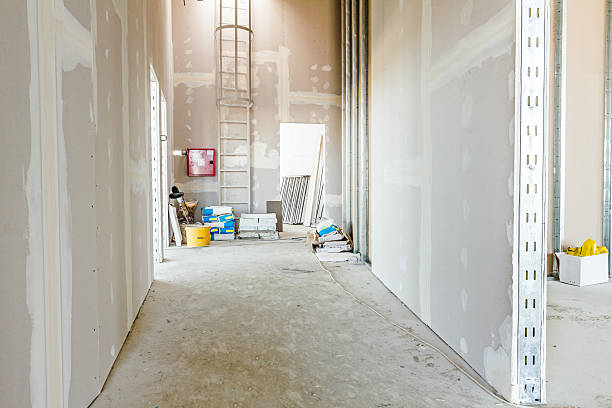 Best Attic Mold Removal  in Inwood, WV